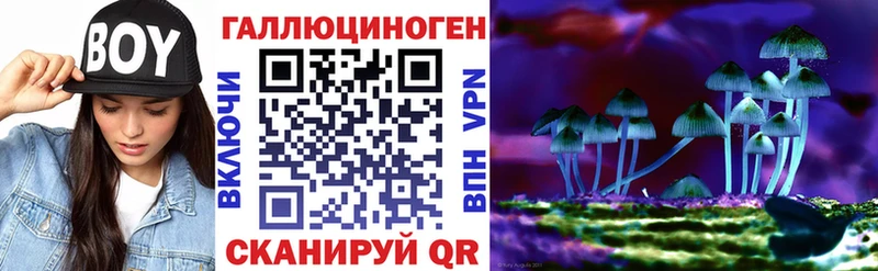 сколько стоит  Камешково  Псилоцибиновые грибы Magic Shrooms 